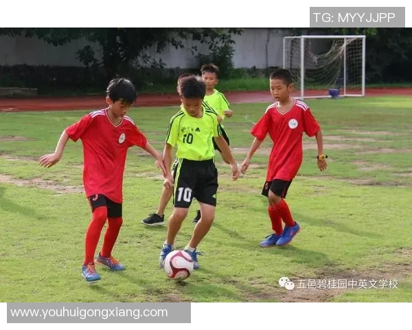 五邑地区足球明星的璀璨星光与他们的传奇故事分享