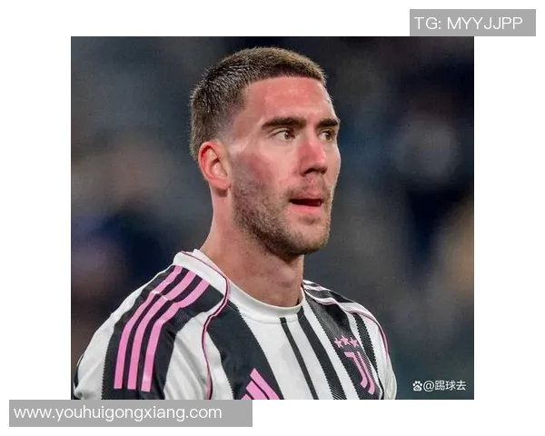 弗拉霍维奇：从天才前锋到意甲新星的崛起之路与未来展望