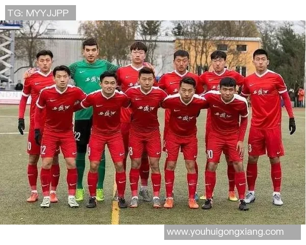 为国争光的足球明星背后的故事与成就解析